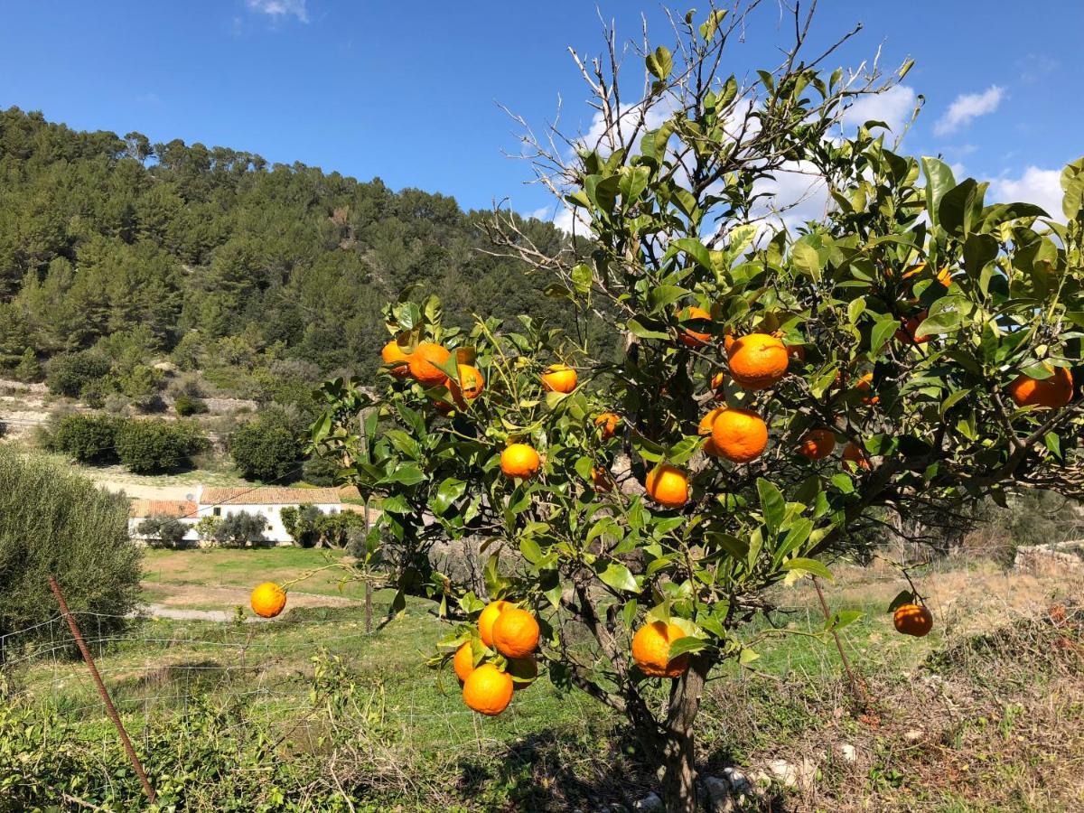 Agroturismo Finca Can Sec Alaró Exteriör bild